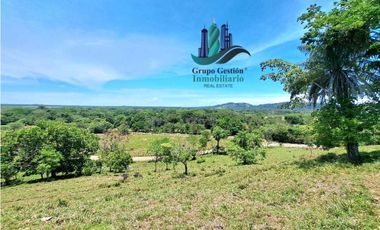 VENDO 70HECTAREAS VIA CHIRIQUI CORREGIMIENTO