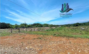 VENDO 70HECTAREAS VIA CHIRIQUI CORREGIMIENTO