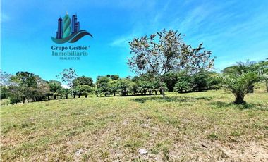 VENDO 70HECTAREAS VIA CHIRIQUI CORREGIMIENTO