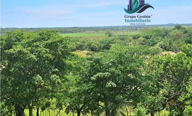 VENDO 70HECTAREAS VIA CHIRIQUI CORREGIMIENTO