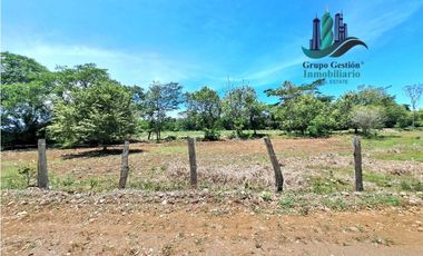VENDO 70HECTAREAS VIA CHIRIQUI CORREGIMIENTO