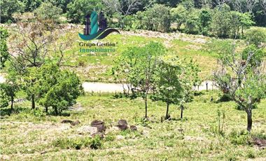 VENDO 70HECTAREAS VIA CHIRIQUI CORREGIMIENTO