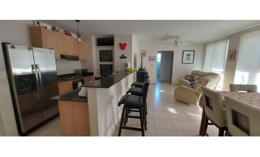 PH Rodman por B/.1,800.00 mensuales!