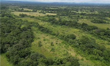 VENDO 86 HECTAREAS DE TERRENO PLANO ALANJE