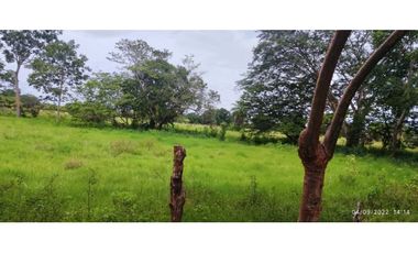 VENDO 86 HECTAREAS DE TERRENO PLANO ALANJE