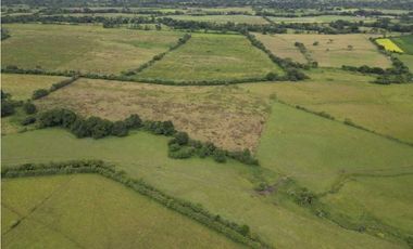 VENDO 86 HECTAREAS DE TERRENO PLANO ALANJE