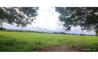 VENDO 86 HECTAREAS DE TERRENO PLANO ALANJE