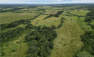 VENDO 86 HECTAREAS DE TERRENO PLANO ALANJE