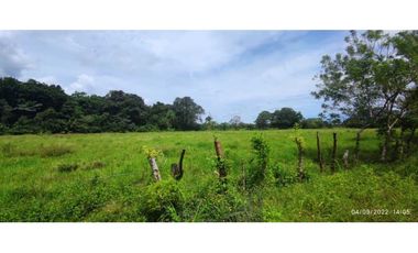 VENDO 86 HECTAREAS DE TERRENO PLANO ALANJE