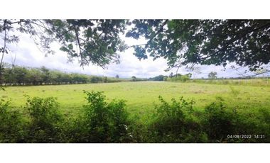 VENDO 86 HECTAREAS DE TERRENO PLANO ALANJE