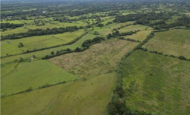 VENDO 86 HECTAREAS DE TERRENO PLANO ALANJE