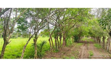 VENDO 86 HECTAREAS DE TERRENO PLANO ALANJE