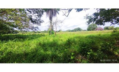 VENDO 86 HECTAREAS DE TERRENO PLANO ALANJE