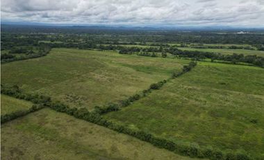 VENDO 86 HECTAREAS DE TERRENO PLANO ALANJE