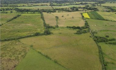 VENDO 86 HECTAREAS DE TERRENO PLANO ALANJE