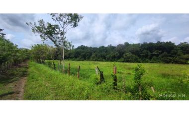 VENDO 86 HECTAREAS DE TERRENO PLANO ALANJE