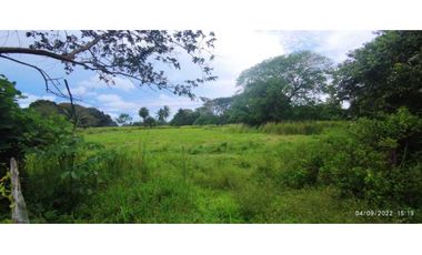 VENDO 86 HECTAREAS DE TERRENO PLANO ALANJE