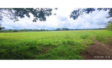 VENDO 86 HECTAREAS DE TERRENO PLANO ALANJE