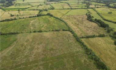 VENDO 86 HECTAREAS DE TERRENO PLANO ALANJE