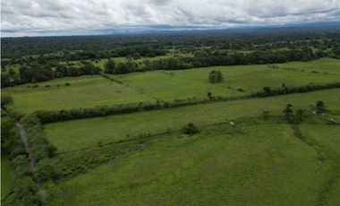 VENDO 86 HECTAREAS DE TERRENO PLANO ALANJE