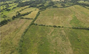 VENDO 86 HECTAREAS DE TERRENO PLANO ALANJE