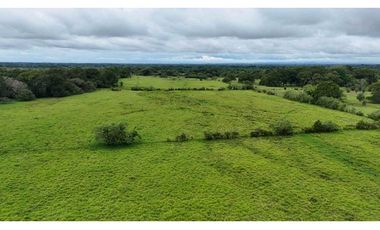 VENDO FINCA DE 92 HECTAREAS BOQUERON