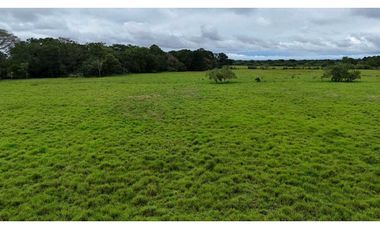 VENDO FINCA DE 92 HECTAREAS BOQUERON