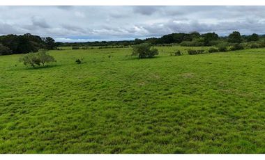 VENDO FINCA DE 92 HECTAREAS BOQUERON