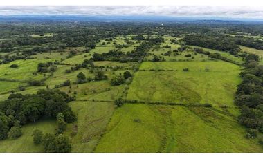 VENDO FINCA DE 92 HECTAREAS BOQUERON