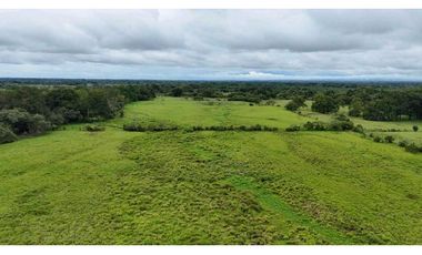 VENDO FINCA DE 92 HECTAREAS BOQUERON