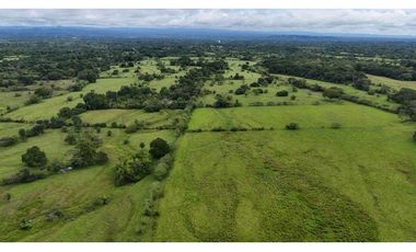 VENDO FINCA DE 92 HECTAREAS BOQUERON