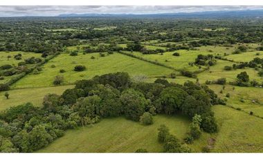VENDO FINCA DE 92 HECTAREAS BOQUERON