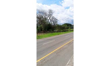 VENDO.SEIS.HECTAREAS CORREGIMIENTO.CHIRIQUI