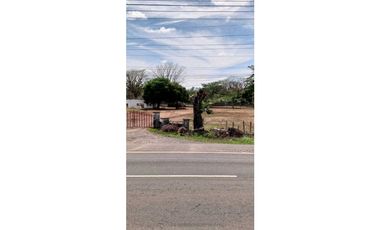 VENDO.SEIS.HECTAREAS CORREGIMIENTO.CHIRIQUI