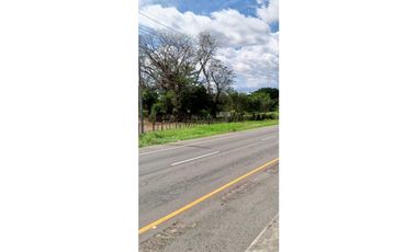 VENDO.SEIS.HECTAREAS CORREGIMIENTO.CHIRIQUI