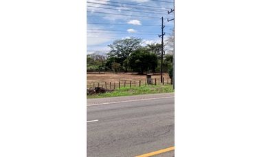 VENDO.SEIS.HECTAREAS CORREGIMIENTO.CHIRIQUI