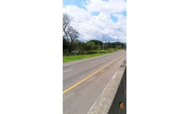 VENDO.SEIS.HECTAREAS CORREGIMIENTO.CHIRIQUI