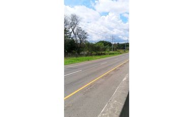 VENDO.SEIS.HECTAREAS CORREGIMIENTO.CHIRIQUI