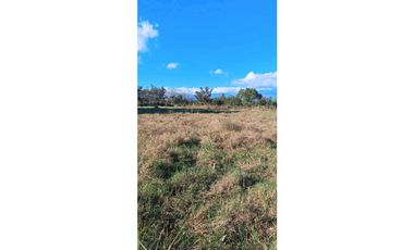 VENDO.FINCA DE 136HECTAREAS CON.125MTS DE FRENTE DE CALLE.INT.