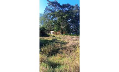 VENDO.FINCA DE 136HECTAREAS CON.125MTS DE FRENTE DE CALLE.INT.