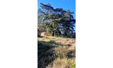 VENDO.FINCA DE 136HECTAREAS CON.125MTS DE FRENTE DE CALLE.INT.