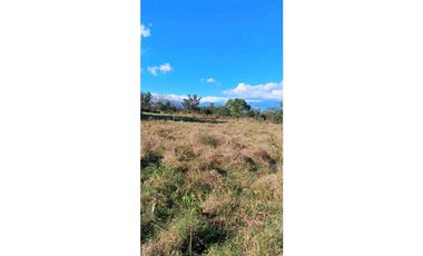 VENDO.FINCA DE 136HECTAREAS CON.125MTS DE FRENTE DE CALLE.INT.