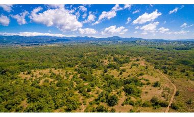 VENDO.1500 HECTAREAS EN.REMEDIOS