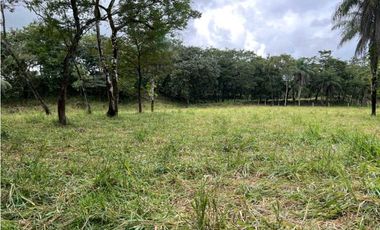 VENDO.500.HECTAREAS TOPOGRAFIA PLANA