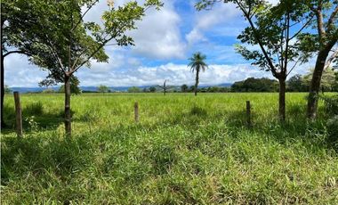 VENDO.500.HECTAREAS TOPOGRAFIA PLANA