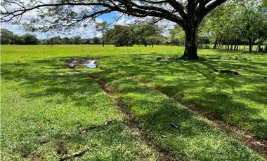 VENDO.500.HECTAREAS TOPOGRAFIA PLANA