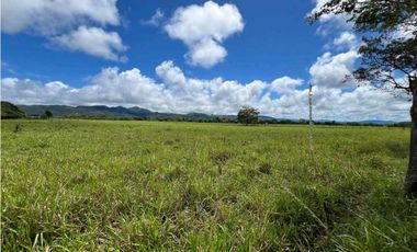 VENDO.500.HECTAREAS TOPOGRAFIA PLANA