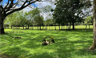 VENDO.500.HECTAREAS TOPOGRAFIA PLANA