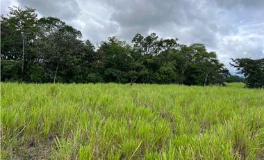 VENDO.500.HECTAREAS TOPOGRAFIA PLANA