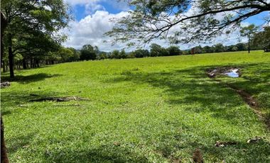 VENDO.500.HECTAREAS TOPOGRAFIA PLANA